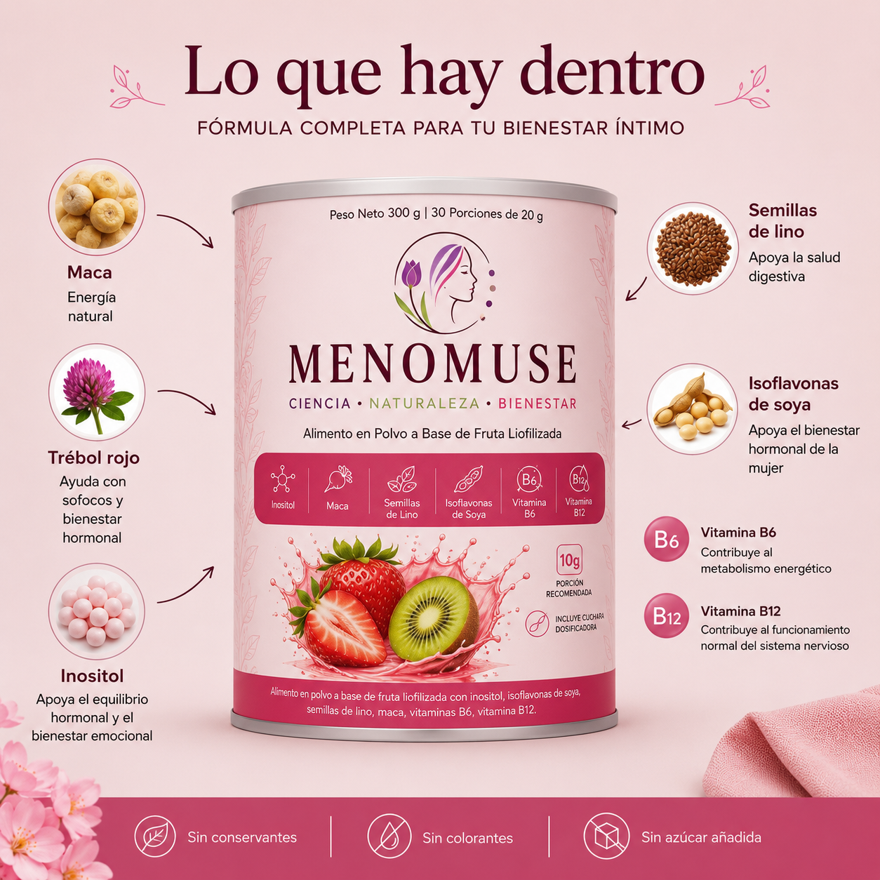 Bebida en Polvo a Base de Fruta Liofilizada